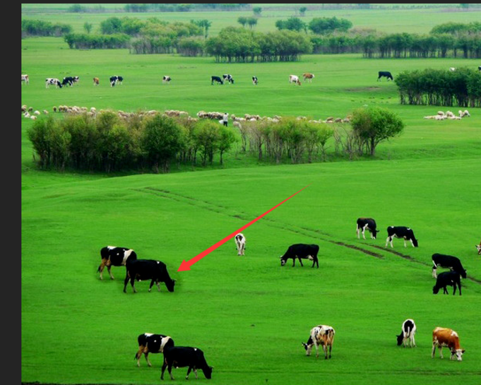 ps实用技巧:仿制图章工具的使用方法!