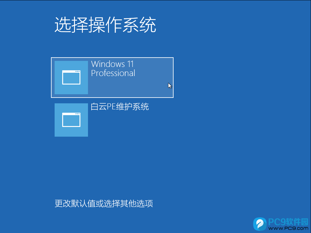 Windows 11 Professional