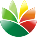 EximiousSoft Logo Designer(logo设计软件) 